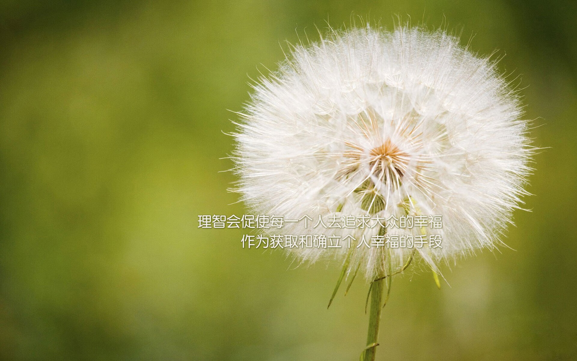 世界女足大赛绽放光芒，中外球员齐聚一堂，世界女足比赛视频回播