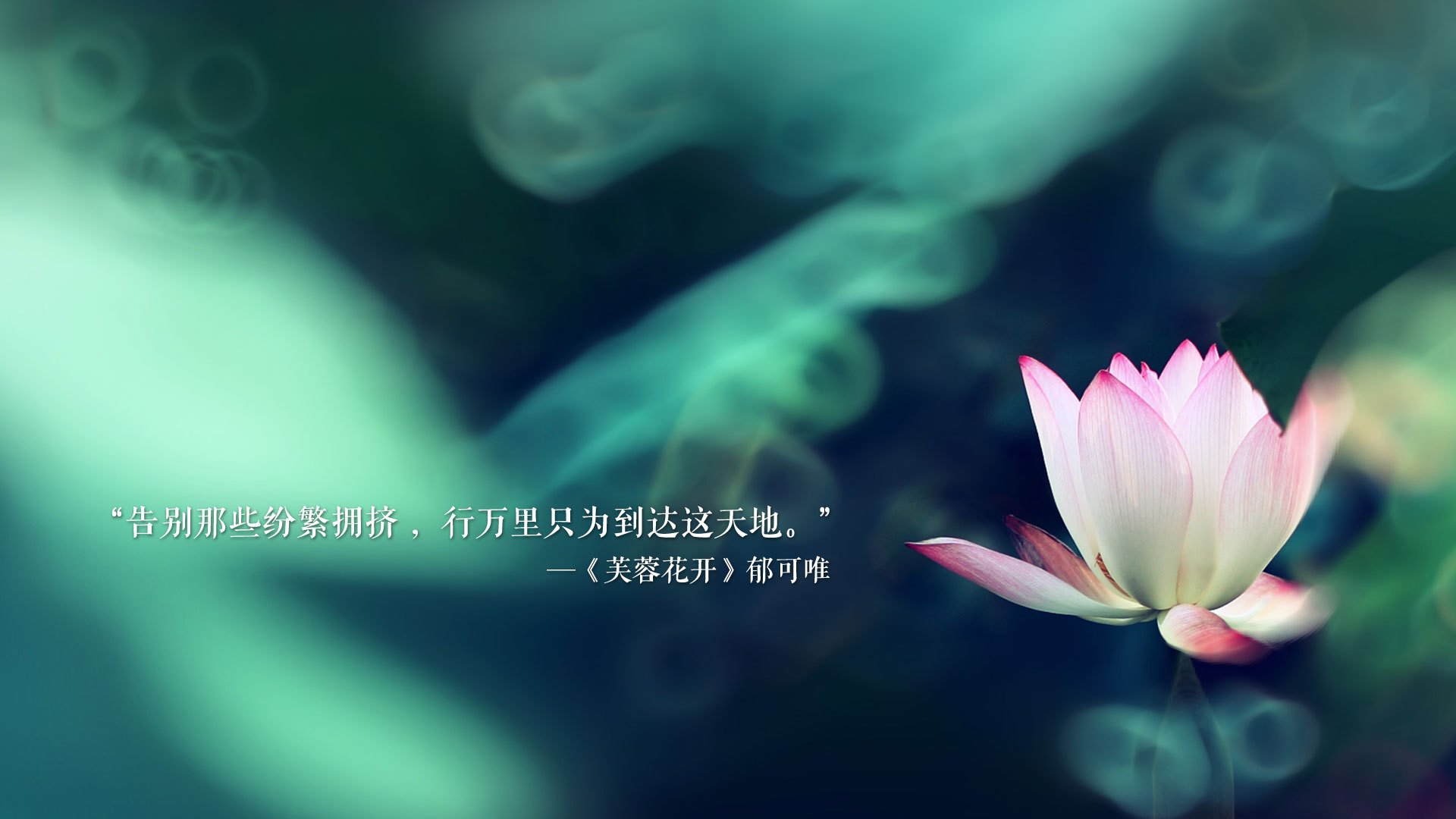 北京国安客场大胜，晋级形势看好，北京国安2020年主场