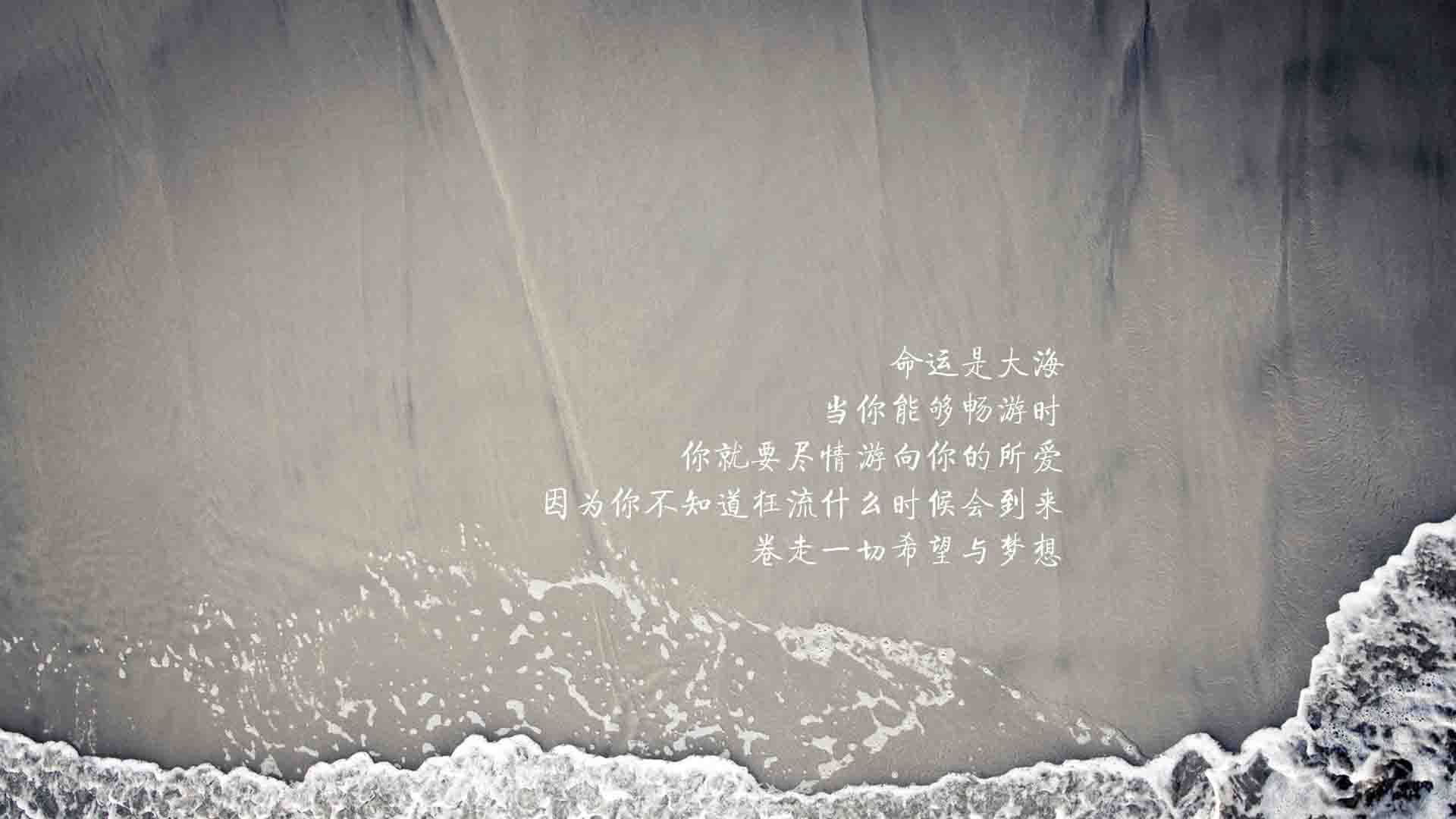 乐鱼官方登录入口-重庆力帆客场大胜，取得胜利保持士气，重庆力帆阵容