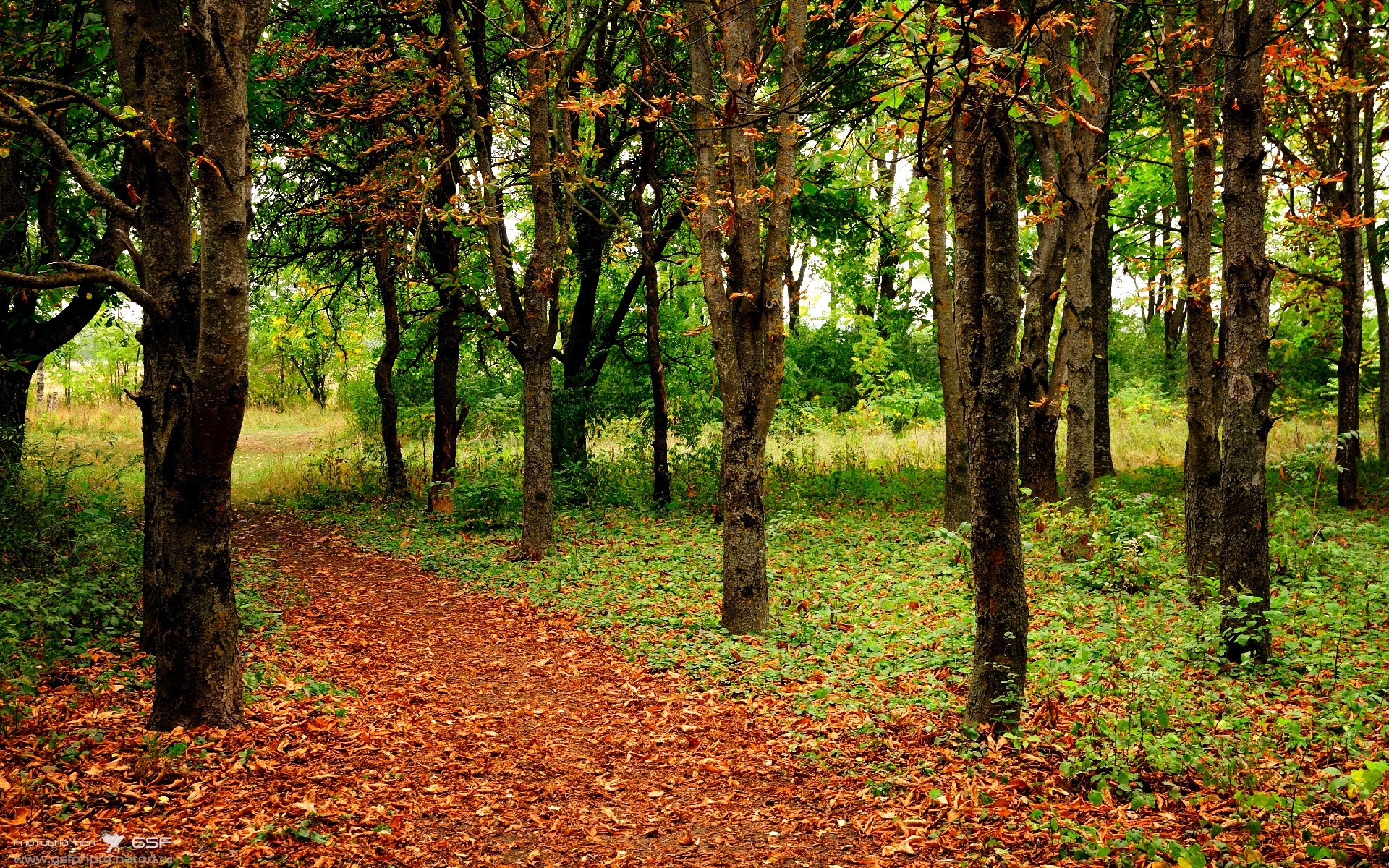 乐鱼（LEYU）体育-爆冷取胜带来关注，纽伦堡表现抢眼。，纽伦堡属于哪个国家