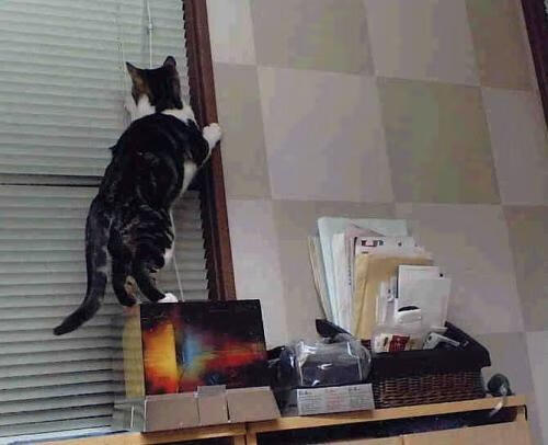 leyu乐鱼官网登录入口-洛里斯再传佳音，带领法国队冲击世界杯