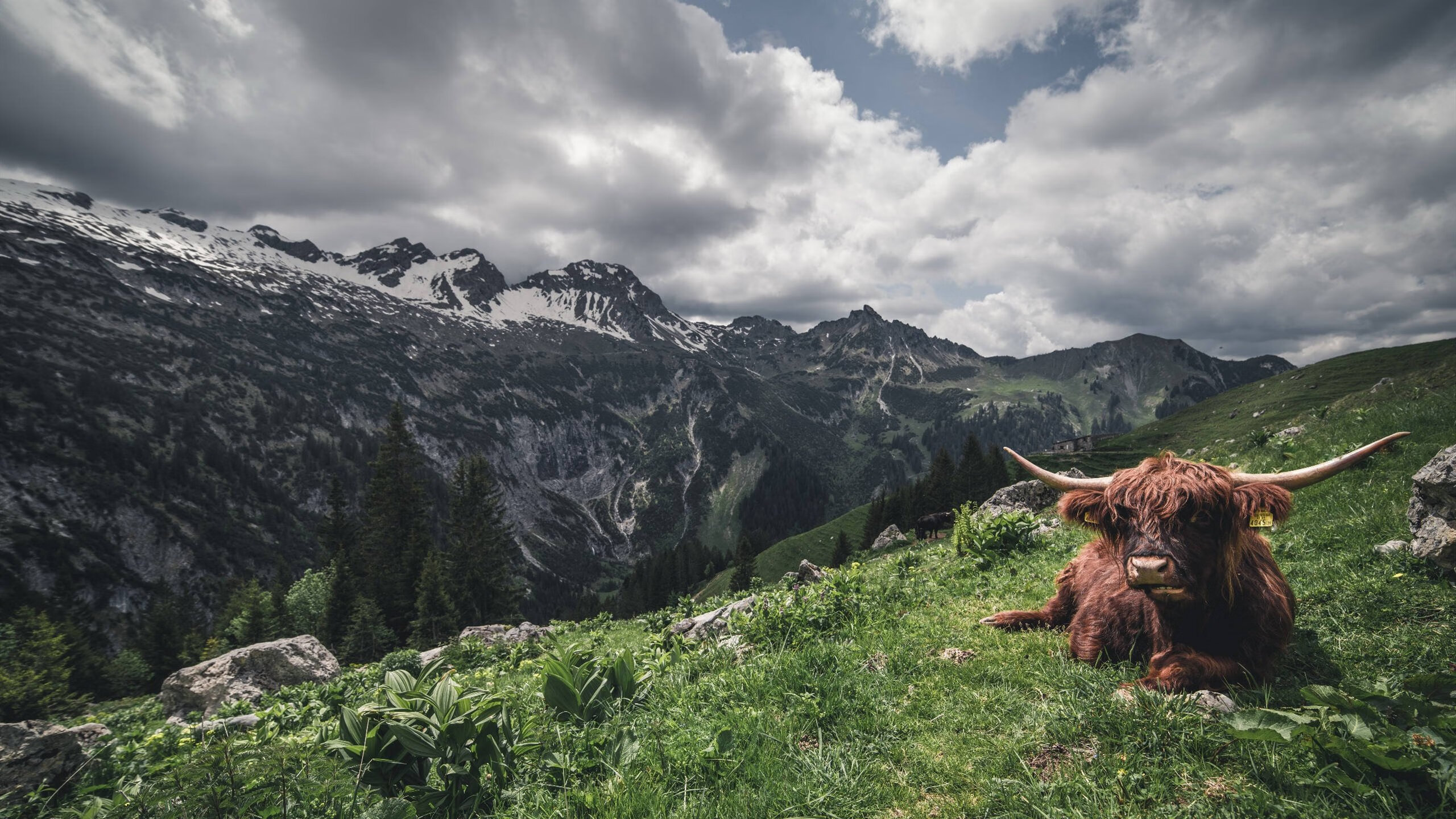 篮球运动纳入乡村振兴规划推动全民健身,乡村振兴篮球赛