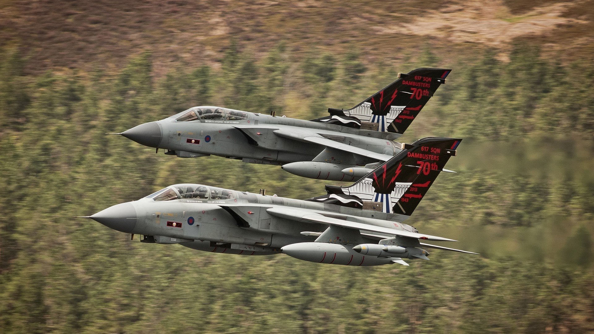 贝尔哈德·福特:全黑队进攻中不可或缺的战术支柱,贝尔福特vs霍利菲尔德