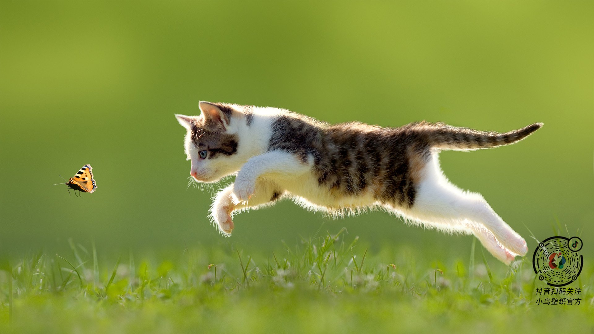 马拉松赛事路线调整公布,马拉松赛事时间表